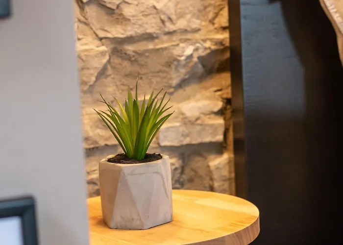 20for2 Naehe Koeln Μπέργκις Γκλάντμπαχ