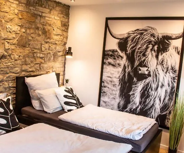 20for2 Naehe Koeln * Μπέργκις Γκλάντμπαχ